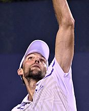 2013 US Open (Tennis) - Ivo Karlovic (9645487491)