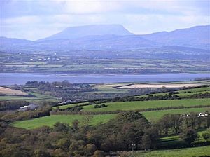 Ardnamoyle Townland - geograph.org.uk - 1030695