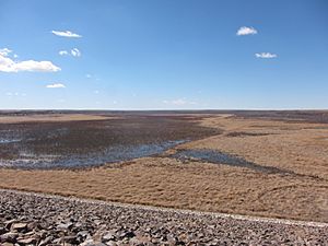 Bonny Reservoir - Spring 2014