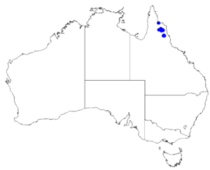 Boronia quinkanensis DistMap97.png