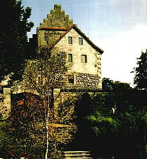 Burg-Fuersteneck front www.burg-fuersteneck.de