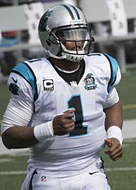 Cam Newton 2014