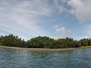 Cas Cay, 2014.jpg