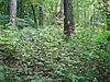 Charles E. Brown Indian Mounds