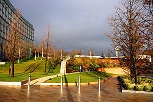 Chavasse Park