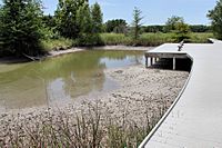 Cibolo nature center marsh