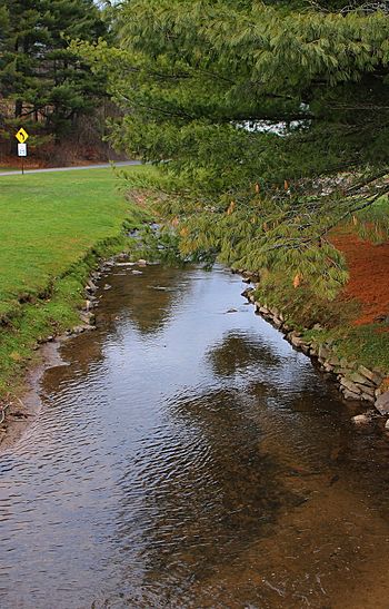 Crab Run looking downstream.JPG