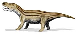 Cynognathus BW.jpg