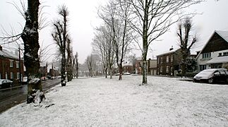 Photograph of a square lined with trees, with houses on the left and right.