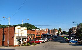 Downtown Gainesboro