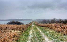 Gfp-illinois-shabbona-lake-state-park-hiking-trail-towards-lake.jpg