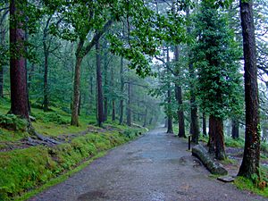 Glendalough Miner's Path Wicklow Ireland