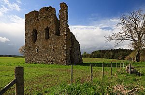 Hallforest Castle (geograph 1871776)