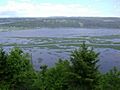 Hampton Marsh