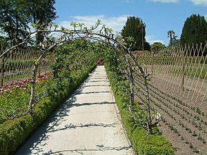 Heligan apple arches