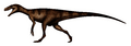 Herresaurus