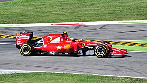 Kimi Räikkönen qualifies second (21463936202)