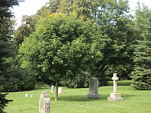 Leacock grave in the shade (35786202724)