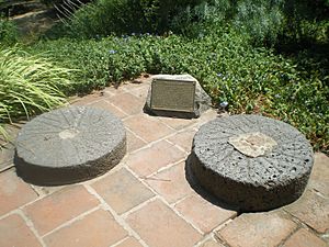 Millstones at El Molino Viejo