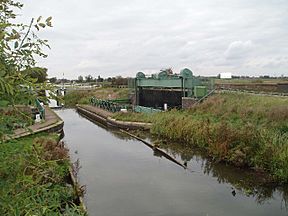 Mullicourt Aqueduct Cambridgeshire.jpg