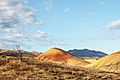 Painted Hills 2009.08.13.11.08.56