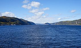 Parc marin du Saguenay–Saint-Laurent (31).JPG