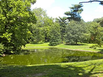 Pastorius Park