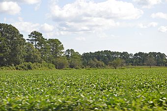 Point Lookout Archaeological Site.jpg