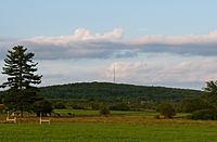 Powers Bluff with holsteins