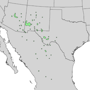 Quercus grisea range map 1.png