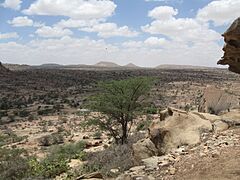 Somalia (Somaliland)(168)