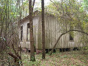 Suwannee Spring Cabins