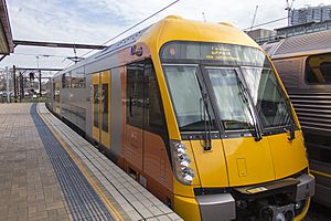 Sydney Trains A set (Waratah) departing Central Station (2)