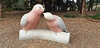 The Big Gallah's.jpg