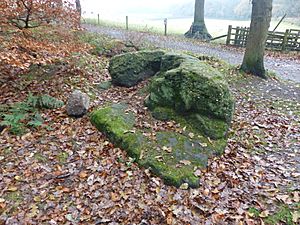 The Golden Stone, Alderley Edge