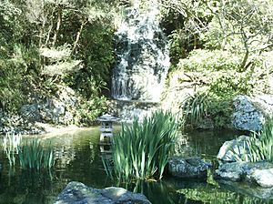 WellingtonBotanicGardensPeaceGarden2