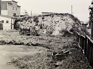 West Berkeley shellmound