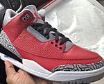 Air Jordan III (cropped).jpg