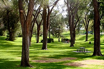 Albuquerque Roosevelt Park.JPG