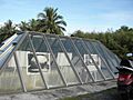 Atomic Bomb Pits - Tinian - panoramio (3)