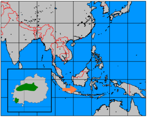 Axis kuhlii range map.png