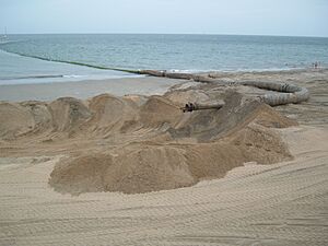 Beach restoration device