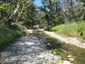 Bell Creek at Caspers Park