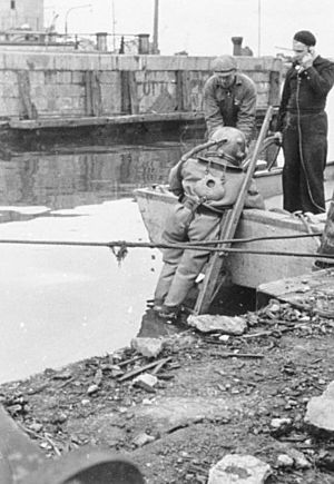 Bundesarchiv Bild 146-2004-225, Reval, Taucher im Hafen