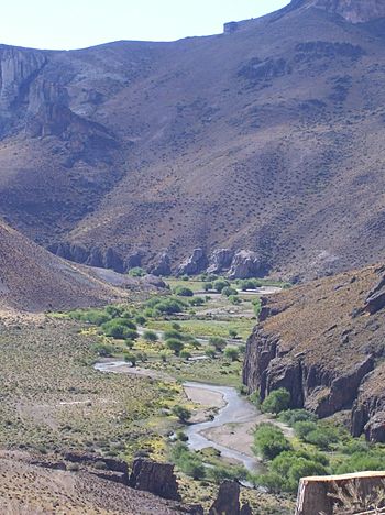 Cañadón del Río Pinturas 2.jpg