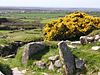 Carn Euny ancient village - geograph.org.uk - 658610.jpg