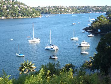 Castlecrag Middle Harbour.JPG