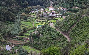 Chamorga, Macizo de Anaga, Tenerife, Spain 35