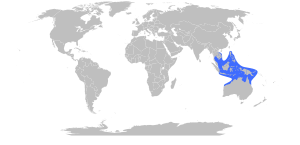 Chironex fleckeri Range Map.svg