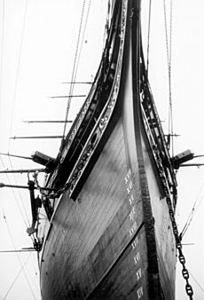 Cutty sark detail